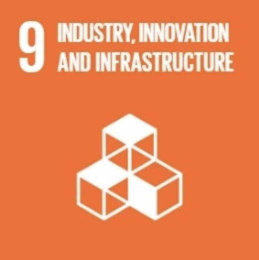 SDG 9